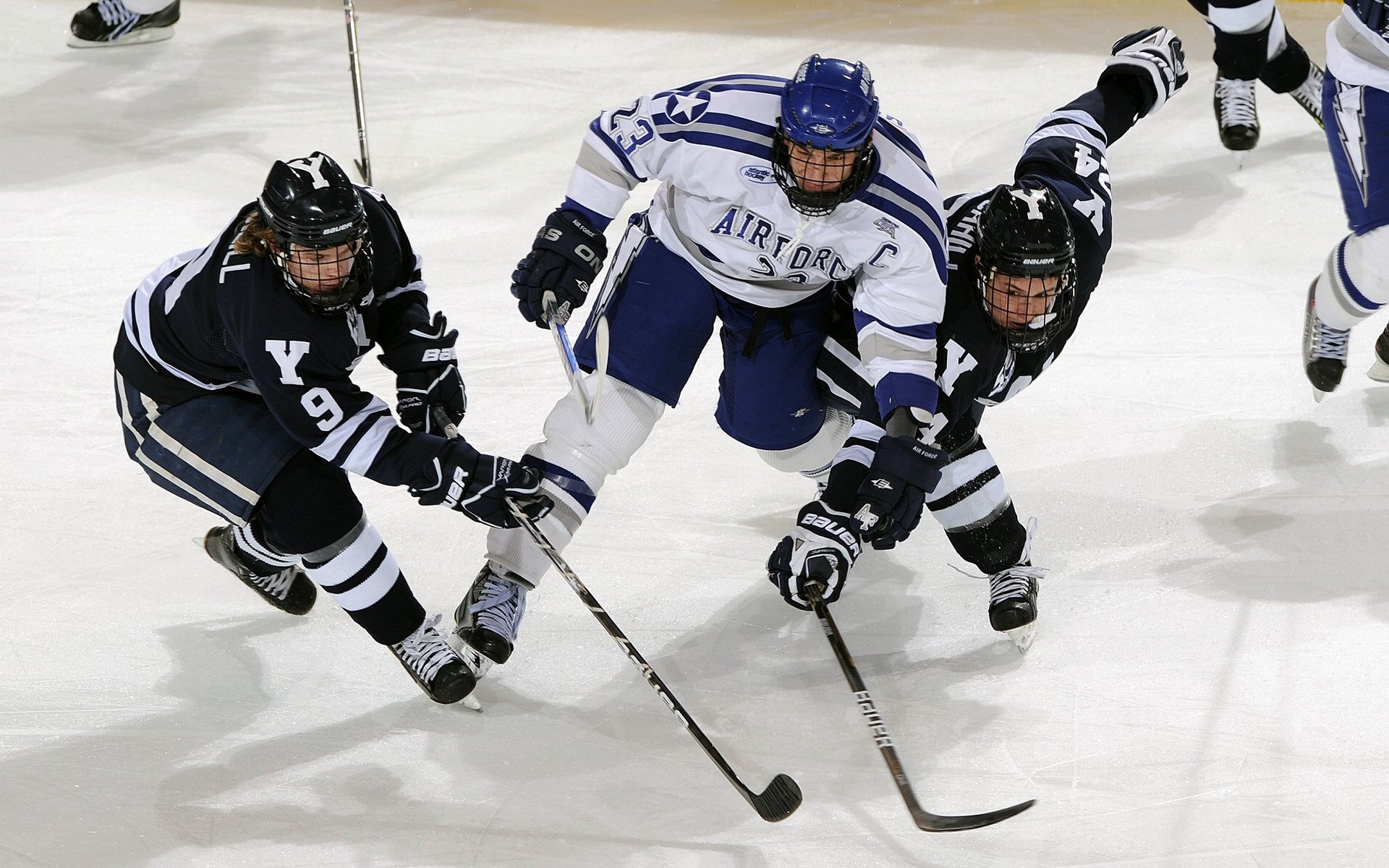 掘金本赛季助攻次数排名联盟前三，2021掘金队